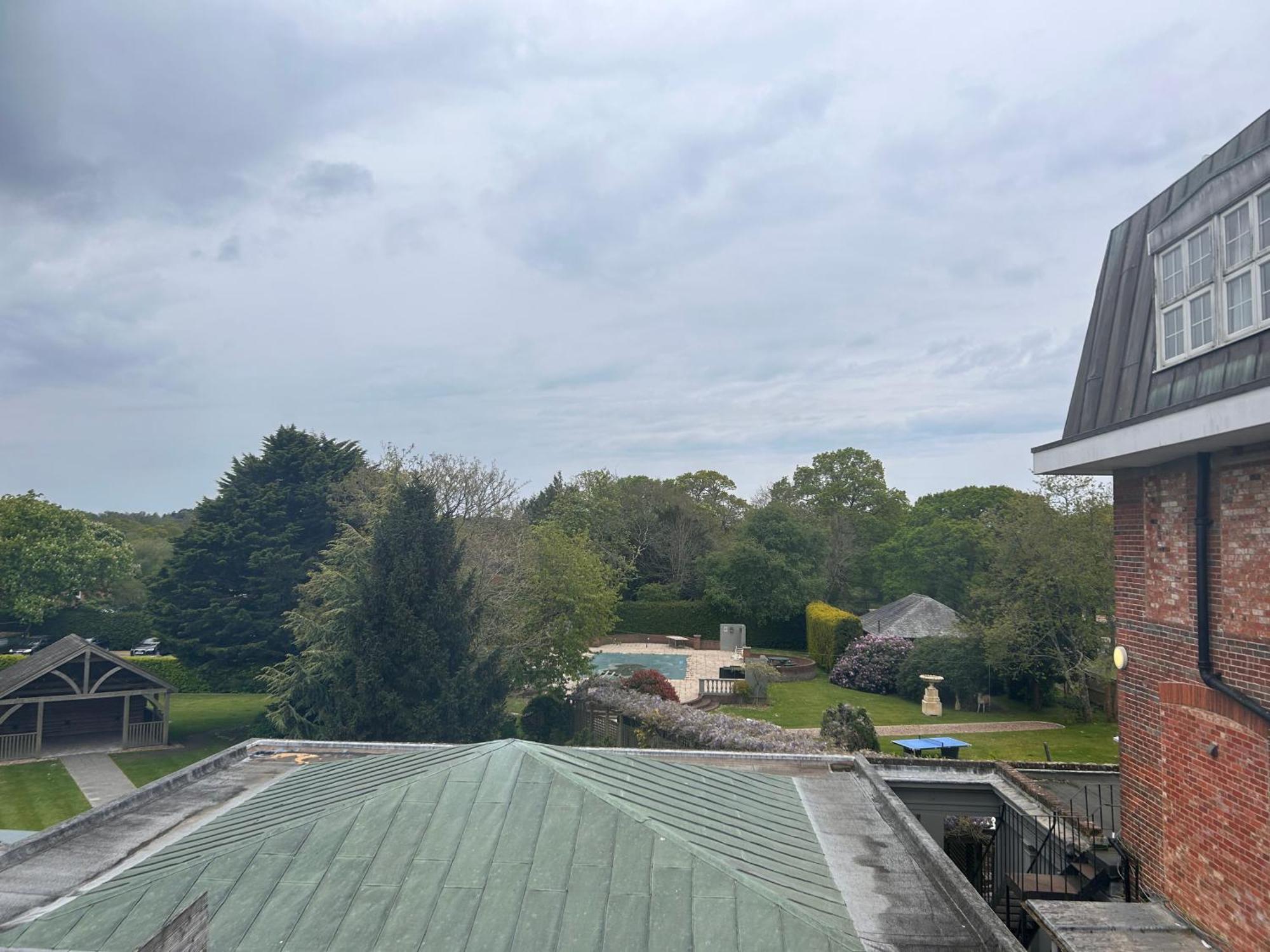 Balmer Lawn Brockenhurst Bilik gambar