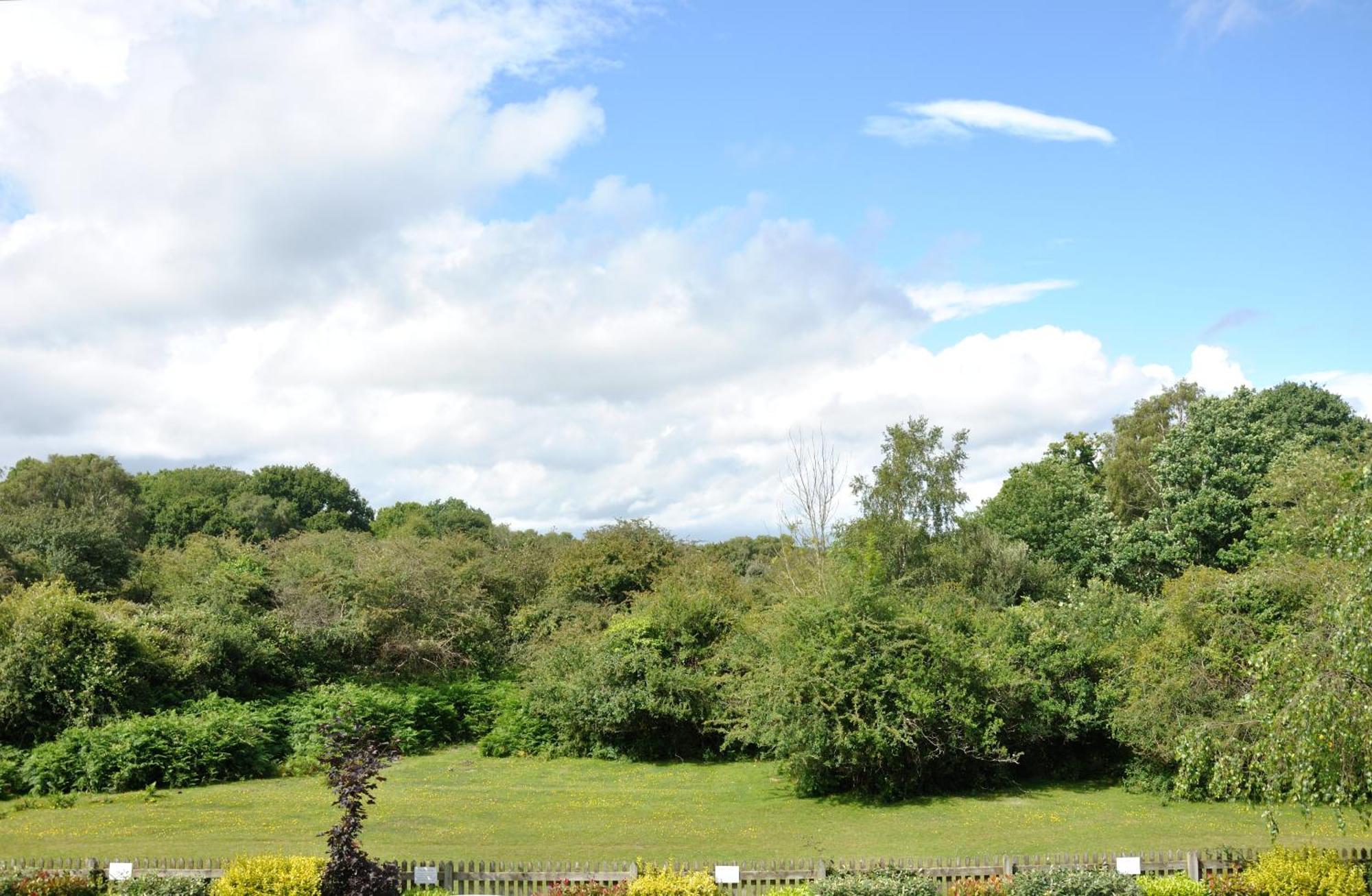 Balmer Lawn Brockenhurst Luaran gambar